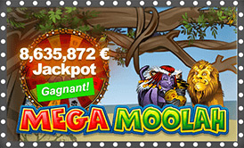 Mega Moolah - 8 635 872  Jackpot